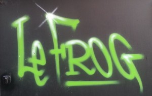 frog2013_titre_small
